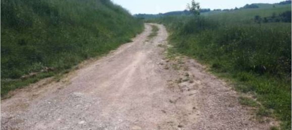 1 room Warehouse in Urbino, Italy No. 343021 6