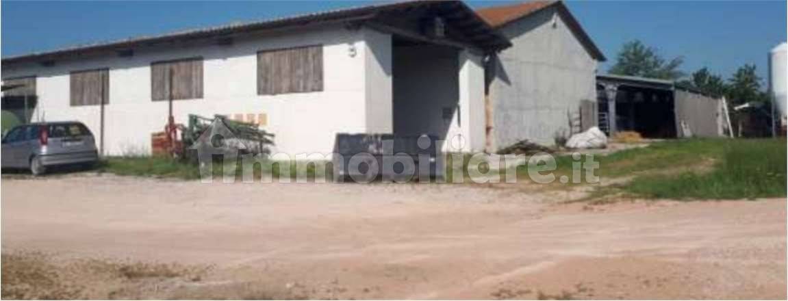 1 room Warehouse in Urbino, Italy No. 343021