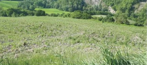 1 room Warehouse in Urbino, Italy No. 343021 5