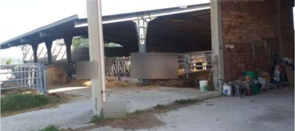 1 room Warehouse in Urbino, Italy No. 343021 3