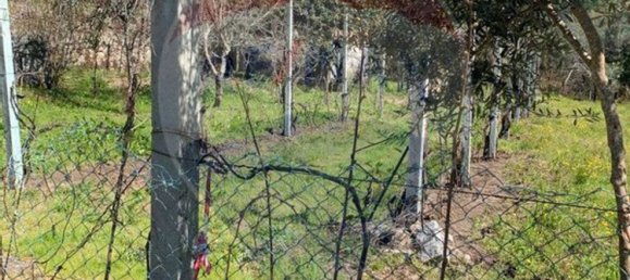 1 bedroom House in Amares, Portugal No. 171750 4