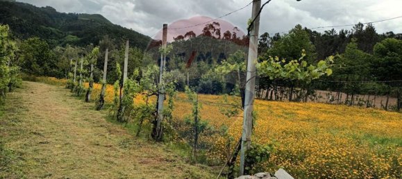 1 bedroom House in Amares, Portugal No. 171750 8