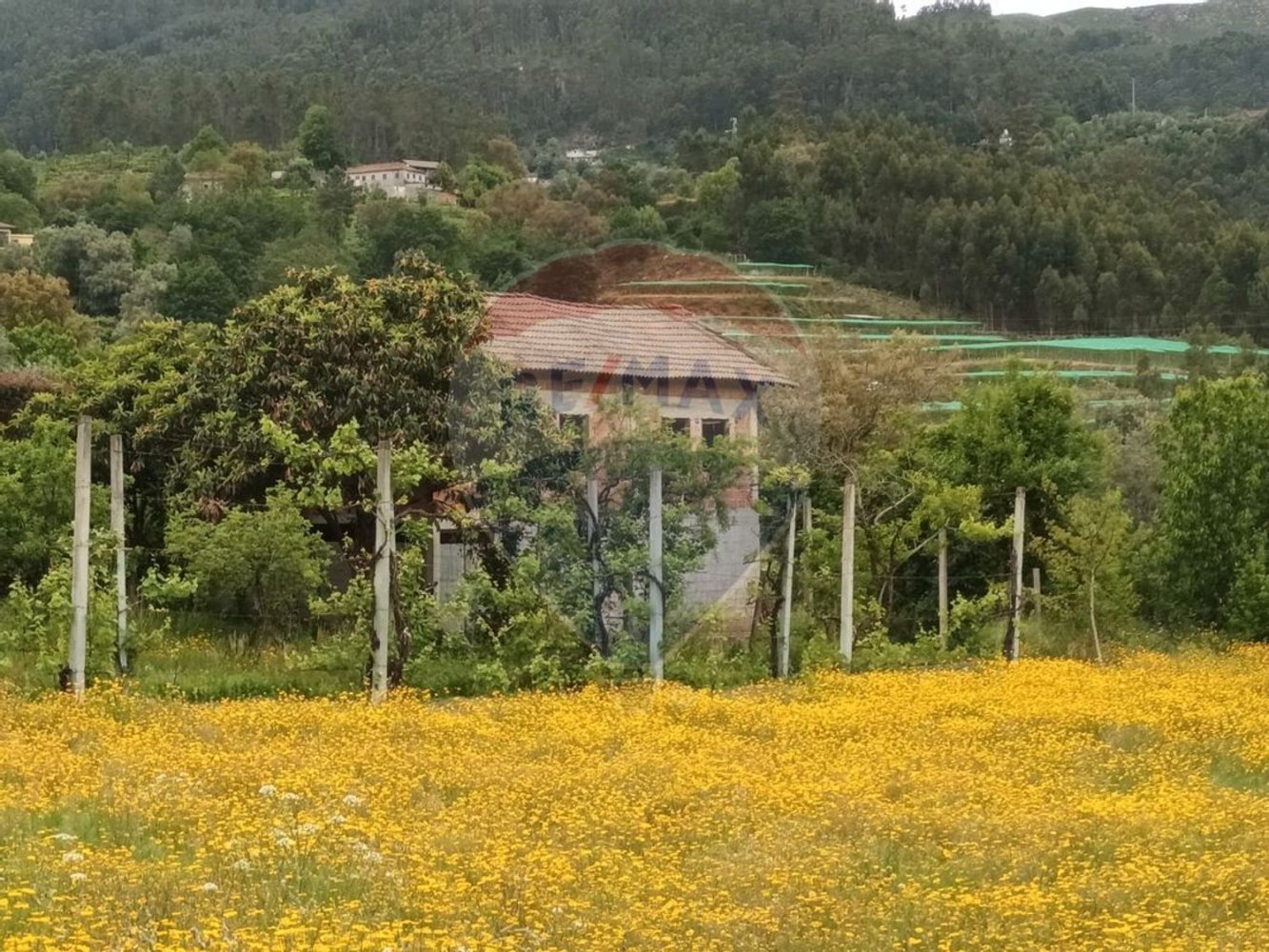 1 bedroom House in Amares, Portugal No. 171750