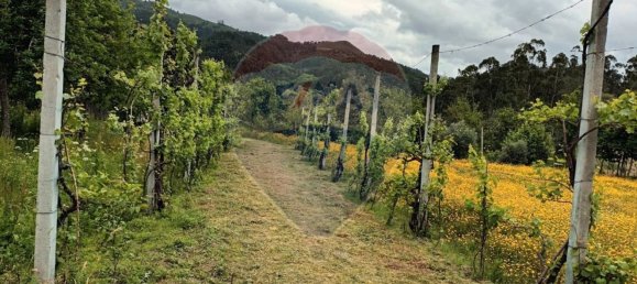 1 bedroom House in Amares, Portugal No. 171750 9