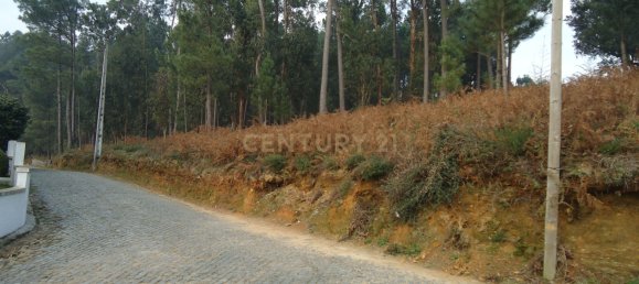 Grundstück in Barcelos, Portugal, Nr. 33584 5