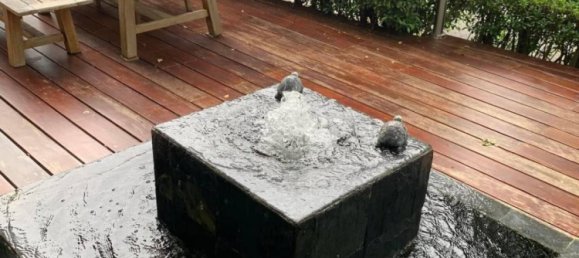 3 bedrooms Cafe / restaurant in Wang Thonglang, Thailand No. 21484 7