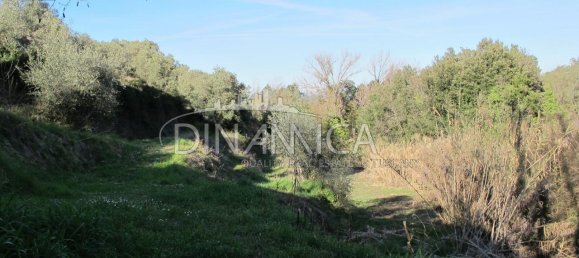 10-salle Maison à Chianni, Italy No. 238229 7