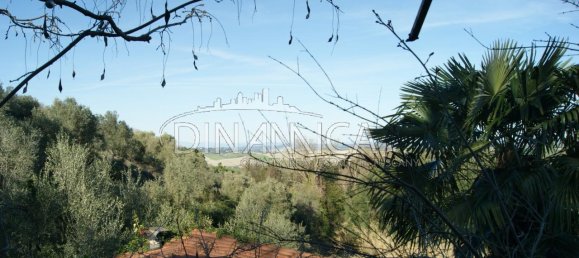 10-salle Maison à Chianni, Italy No. 238229 24