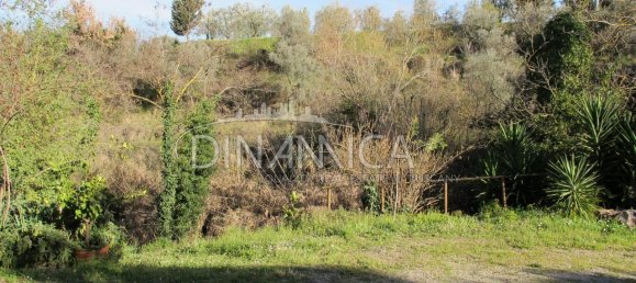 10-salle Maison à Chianni, Italy No. 238229 8