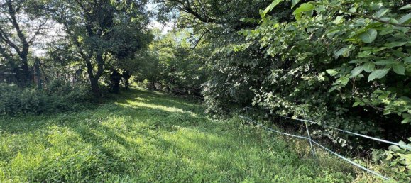 Terreno en Graz-Umgebung, Austria No. 69064 8