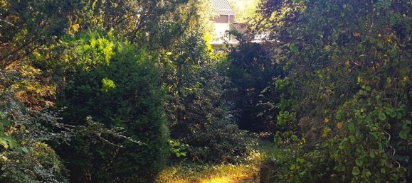 5-salle Bungalow à Kladow, Germany No. 37928 7