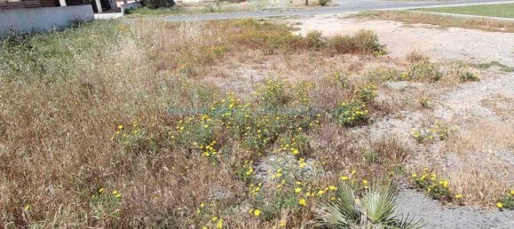  Villa in Deryneia, Cyprus No. 24099 2