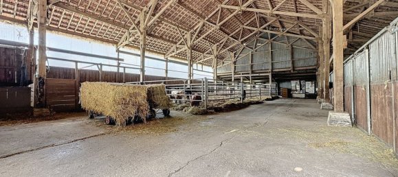 Propiedad comercial en Villers-en-Argonne, France 800 m² No. 239074 8