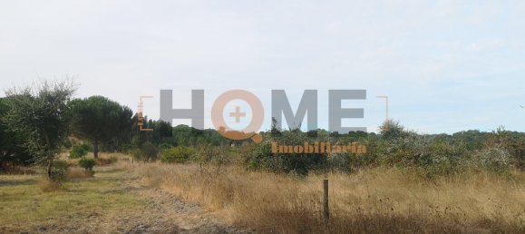 127250m² Land in Coruche, Portugal No. 63097 5
