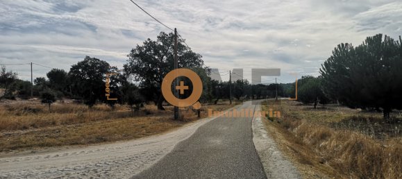 127250m² Land in Coruche, Portugal No. 63097 6