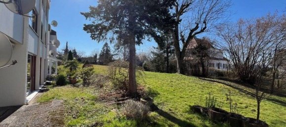 2 rooms Apartment in Baden-Wurttemberg, Germany No. 45668 5