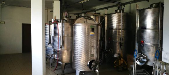 20 Schlafzimmer Haus in Fivizzano, Italy, Nr. 300275 12