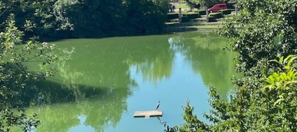 3 غرف نوم شقة في Strasbourg, France رقم 266276 7