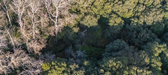 Дом с 12 комнатами в Темпьо Паузания, Италия № 39827 8