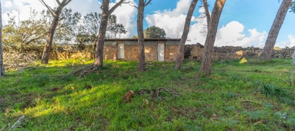 Дом с 12 комнатами в Темпьо Паузания, Италия № 39827 41