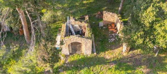 Дом с 12 комнатами в Темпьо Паузания, Италия № 39827 2