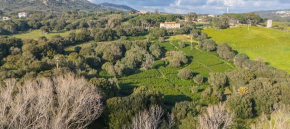 Дом с 12 комнатами в Темпьо Паузания, Италия № 39827 7