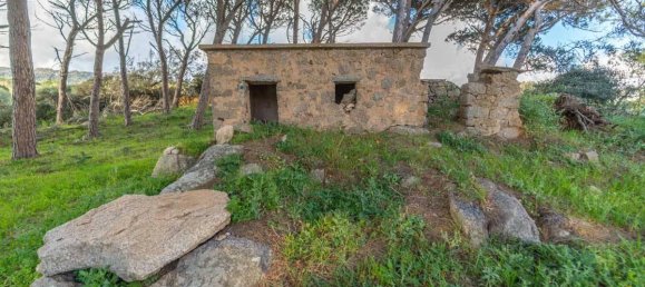 Дом с 12 комнатами в Темпьо Паузания, Италия № 39827 40