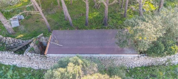 Дом с 12 комнатами в Темпьо Паузания, Италия № 39827 3