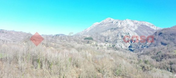 4 rooms House in Villa Collemandina, Italy No. 118147 8