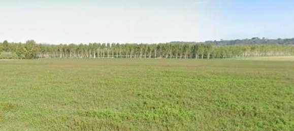 5 rooms House in Santa Maria a Monte, Italy No. 37826 4