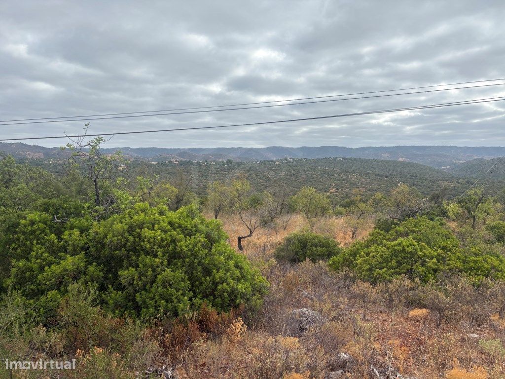 Terrain à Salir, Portugal 78820m² No. 325278