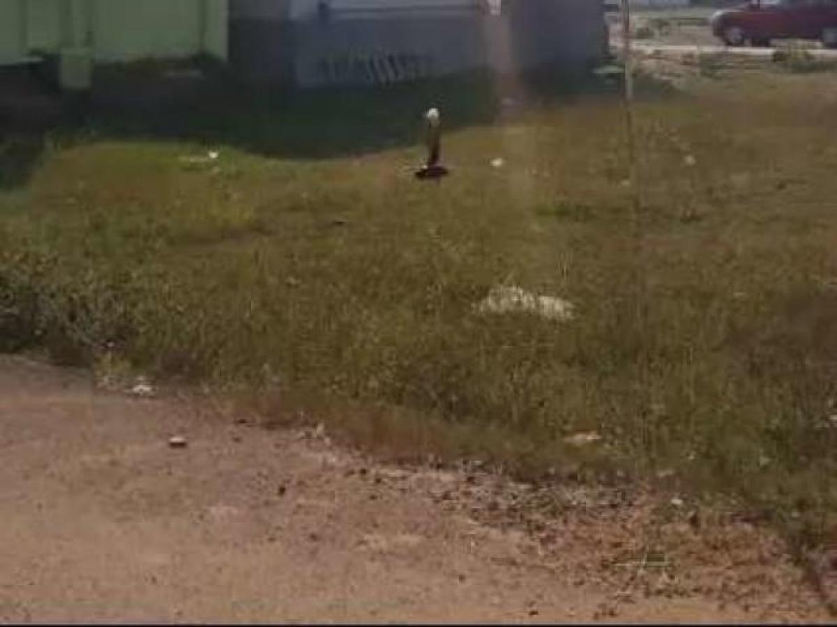 Земельный участок в Ченнаи, Индия № 40134