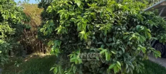 3 chambres Maison à Cordoba, Spain No. 179852 26