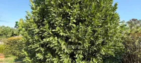 3 chambres Maison à Cordoba, Spain No. 179852 30