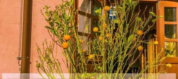 4 Schlafzimmer Gebäude in Märkisch-Oderland, Germany, Nr. 109595 3