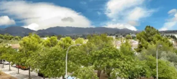 5 bedrooms House in Palma de Majorca, Spain No. 170979 39