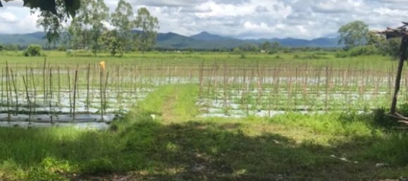 20 bedrooms Commercial property in Chiang Mai, Thailand No. 11248 8