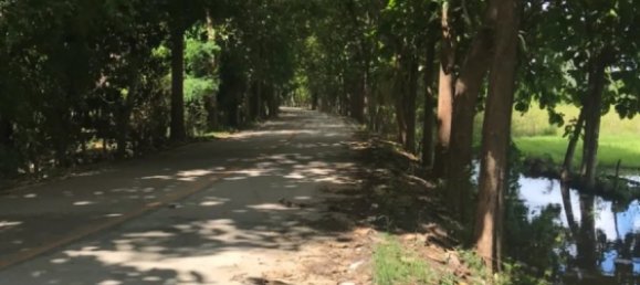 20 bedrooms Commercial property in Chiang Mai, Thailand No. 11248 6