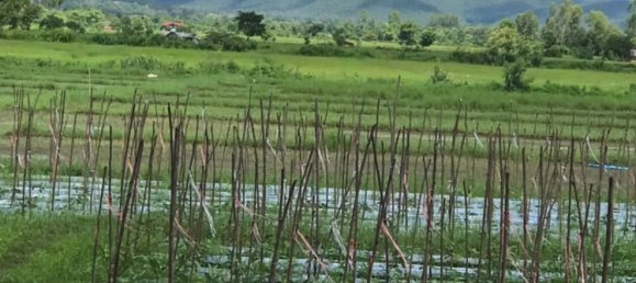 20 bedrooms Commercial property in Chiang Mai, Thailand No. 11248 2