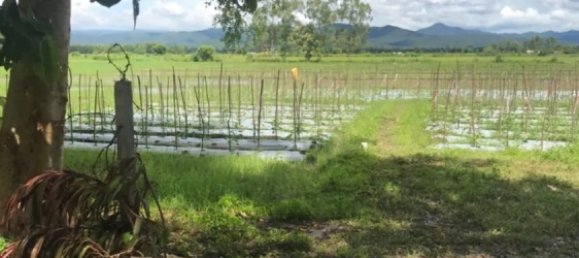 20 bedrooms Commercial property in Chiang Mai, Thailand No. 11248 7