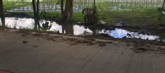 20 bedrooms Commercial property in Chiang Mai, Thailand No. 11248 4