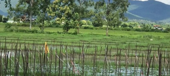 20 bedrooms Commercial property in Chiang Mai, Thailand No. 11248 3