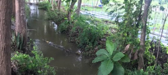 20 bedrooms Commercial property in Chiang Mai, Thailand No. 11248 5