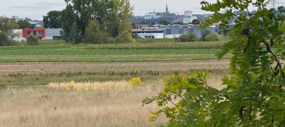 4 Schlafzimmer Haus in Bamberg, Germany, Nr. 357185 7