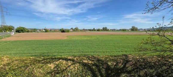 4 Schlafzimmer Haus in Bamberg, Germany, Nr. 357185 6