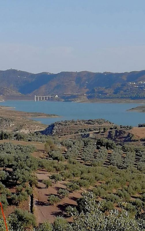 Земельный участок 300м² в Периана, Испания № 219827