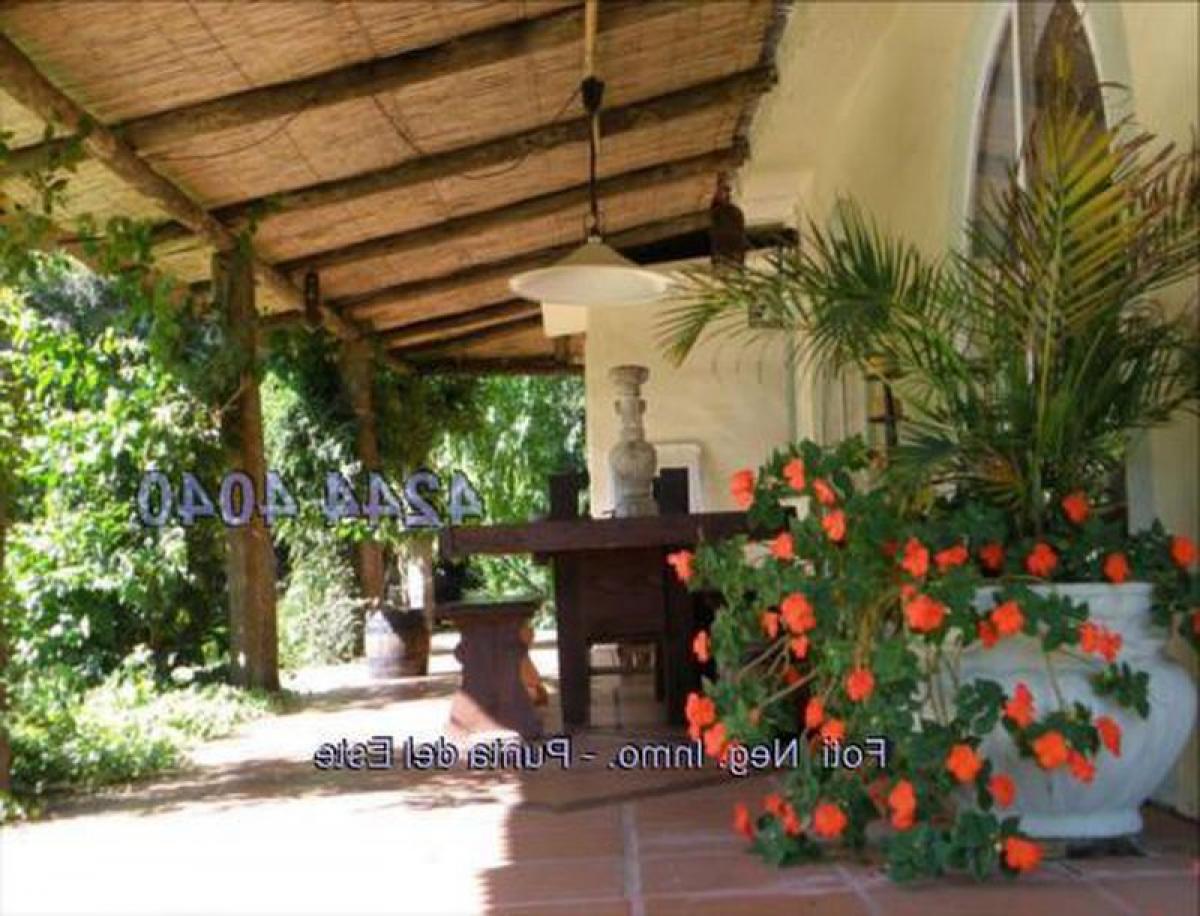 Studio in Maldonado, Uruguay No. 6731