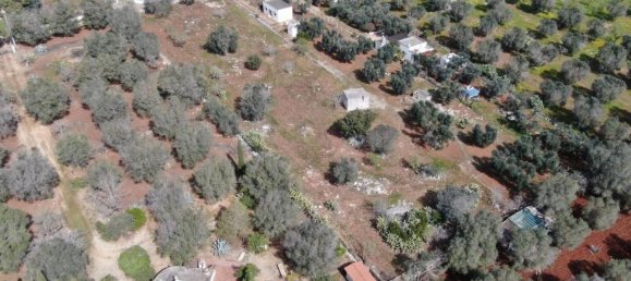 Grundstück in Carovigno, Italy 3965m², Nr. 116883 7