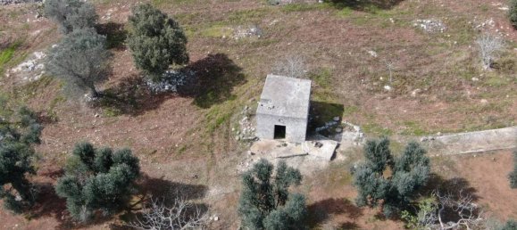 Grundstück in Carovigno, Italy 3965m², Nr. 116883 13