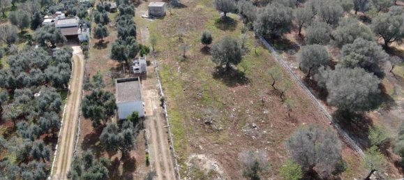 Grundstück in Carovigno, Italy 3965m², Nr. 116883 4